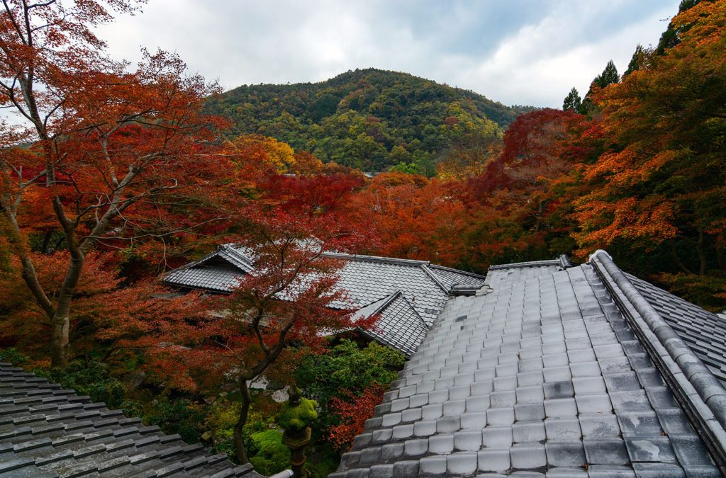 It’s Time to Talk About Fall Home Maintenance