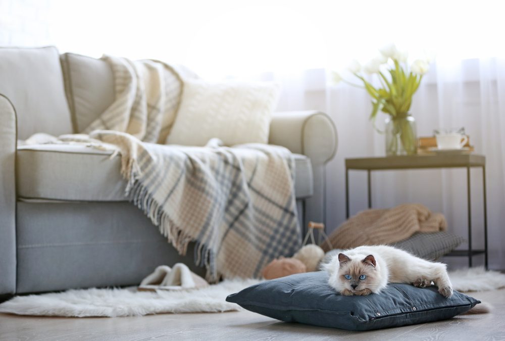 How to Improve Your Indoor Air Quality this Winter