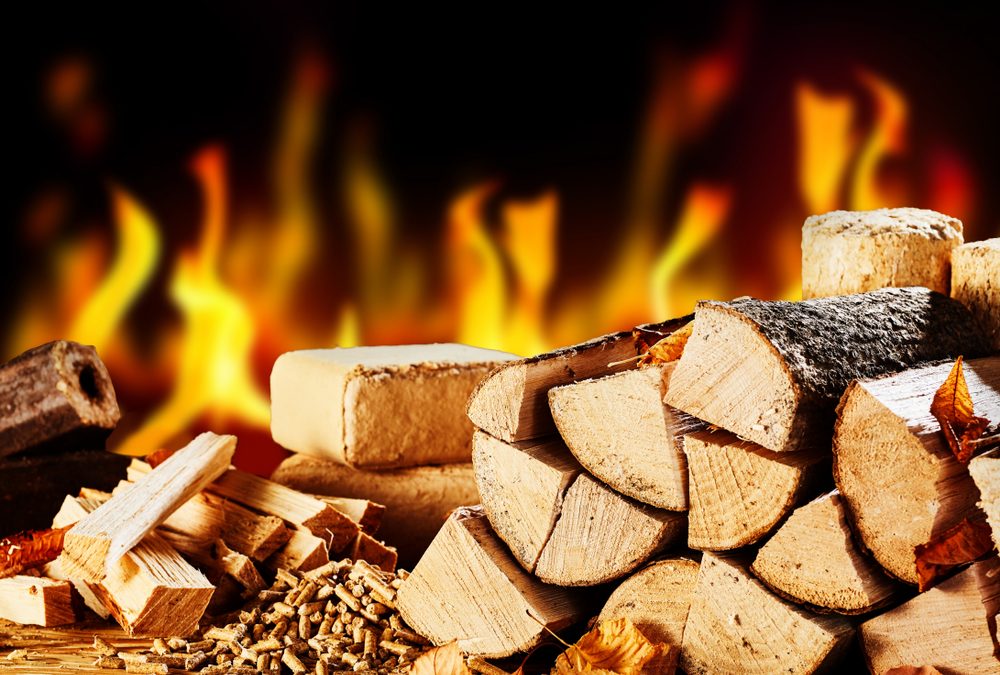 Your Guide to Choosing the Correct Firewood This Winter
