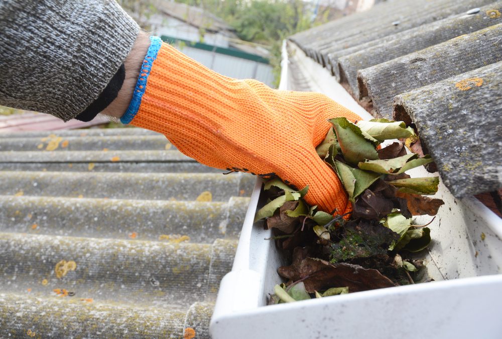How Regular Gutter Cleaning Can Boost Property Value